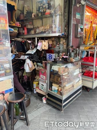 貓咪超強隱身術…釣出1.3萬網「眼睛脫窗」來找碴本尊近照曝光