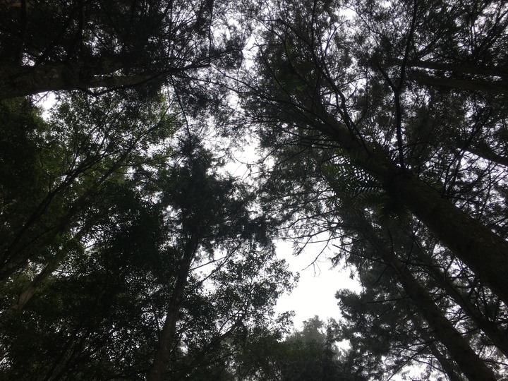 新春第一登-北大武日湯真山