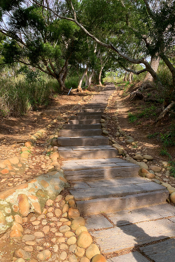台中大肚｜萬里長城．旗開得勝步道｜藍天枯木．漫步山脊大景