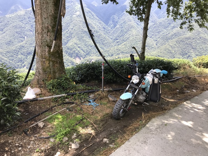 小雲豹之力行產業道環島