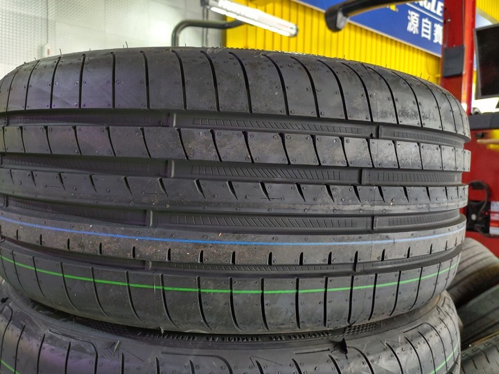 濕地之王 Goodyear F1A5 試胎體驗