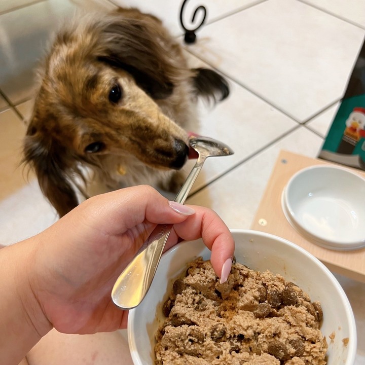 #分享 最近買到覺得不錯的罐頭飼料開箱