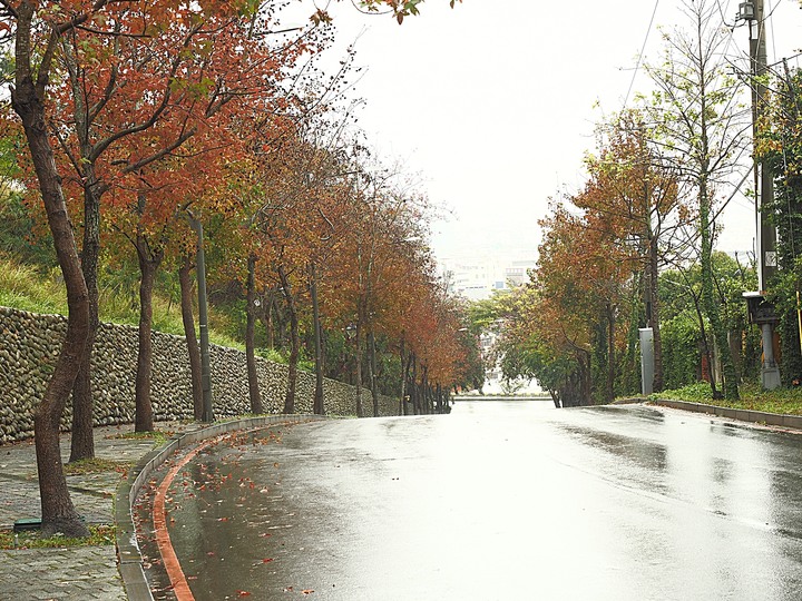 清水 牛罵頭遺址文化園區 — 全臺灣少有的史前遺址,神社、軍營、重要古物保存地等多重身分超時空交流場景,外帶居高臨下的臺灣海峽風光,一次全都看!