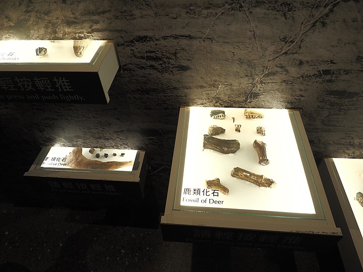 臺南左鎮化石園區 – 全臺首座且唯一之化石教育園區 — 大年初一走春去!