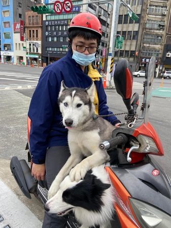 外面下雨不能散步二哈「垮臉變李榮浩」打哈欠裝傻：我聽不見～
