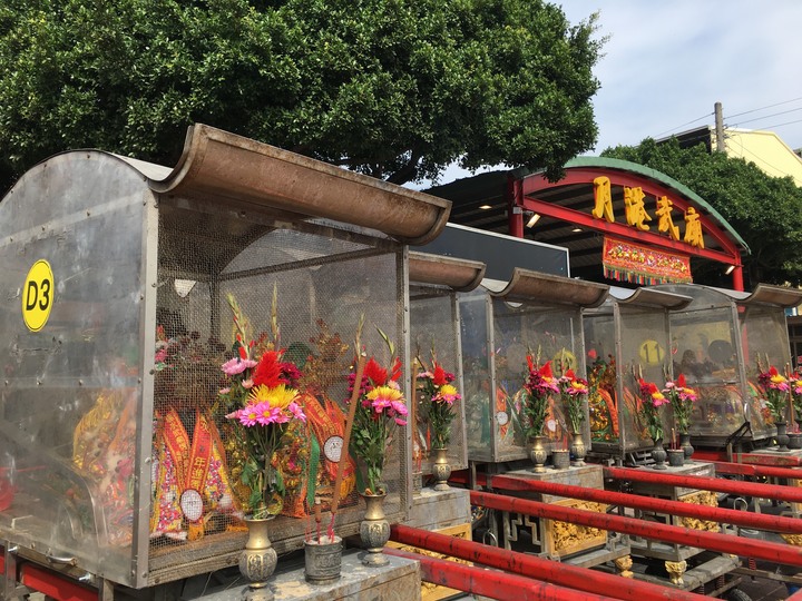騎 遊 新 營 、 鹽 水 追 蜂 炮