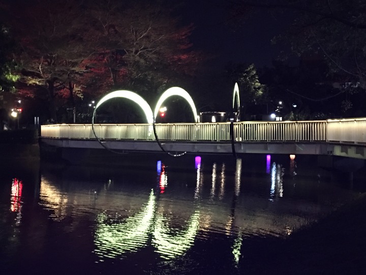 騎 遊 新 營 、 鹽 水 追 蜂 炮