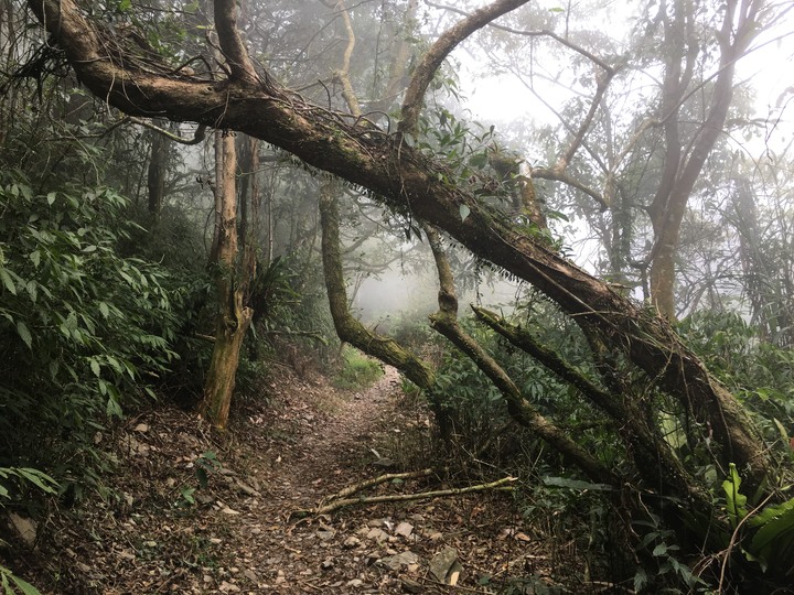 新春第一登-北大武日湯真山