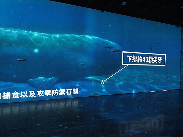 臺南左鎮化石園區 – 全臺首座且唯一之化石教育園區 — 大年初一走春去!