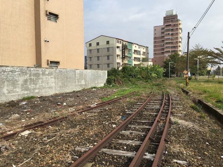 騎 遊 新 營 、 鹽 水 追 蜂 炮