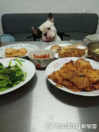 「乖孫法鬥」靜靜陪92歲阿祖看電視療癒畫面暖暈網:有祖孫臉