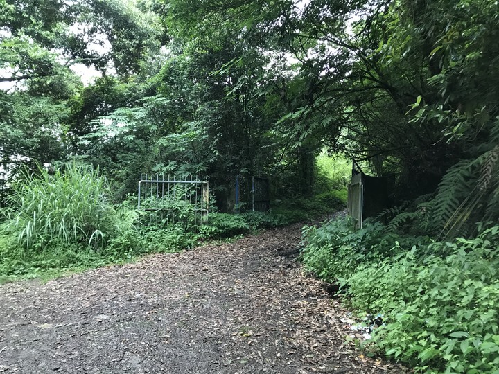 小雲豹之力行產業道環島