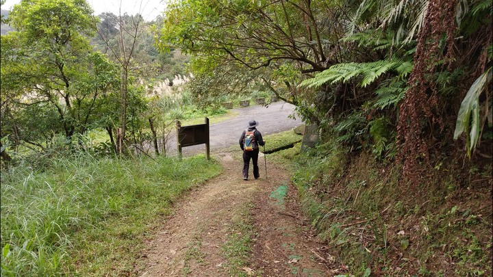 [樂山童盟] [新北平溪] 平湖西步道-內平林山