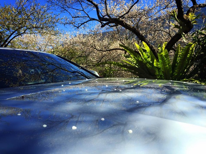 BMW F30 320I N20引擎更換正時鍊條/引擎腳