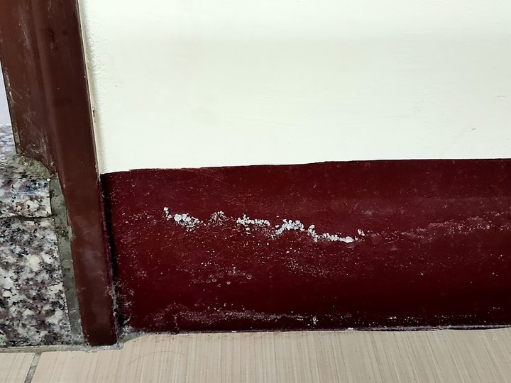 請問廁所外牆滲水壁癌