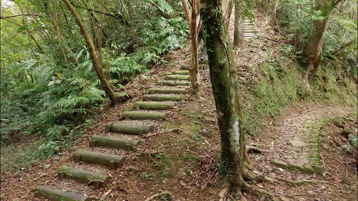 [樂山童盟] [新北平溪] 平湖西步道-內平林山