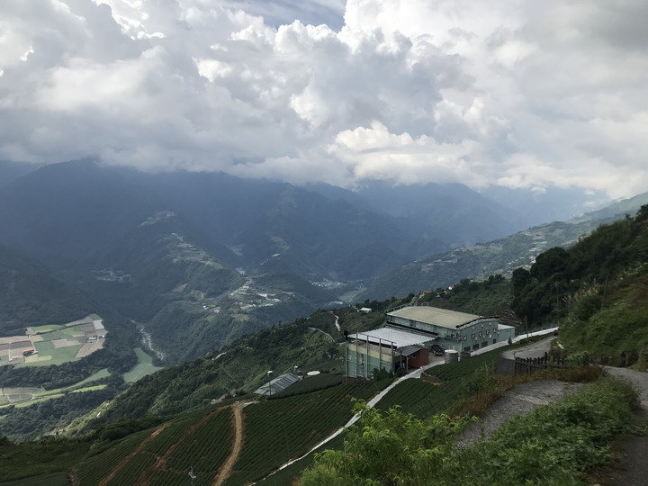 小雲豹之力行產業道環島