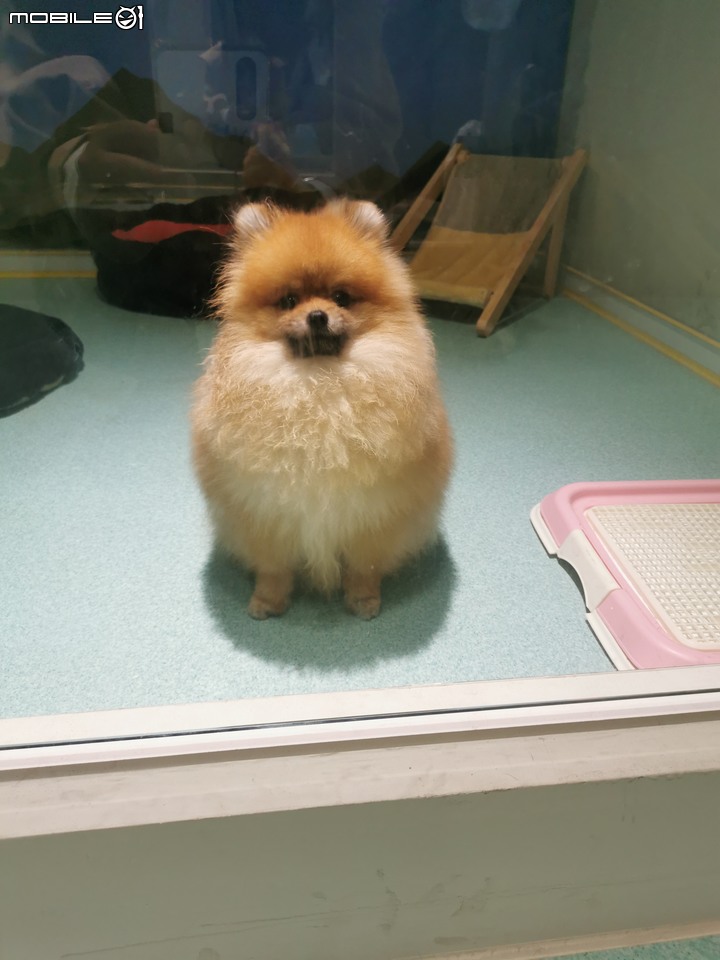 女生也可以去的恐龍主題樂園就在臺中大坑HiONE啵比星球
