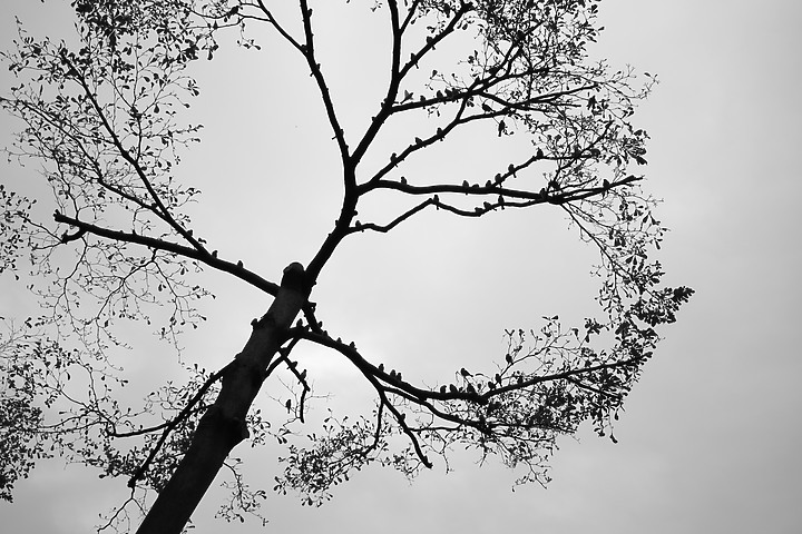點我看大圖 OM System M.ZD ED 20mm f/1.4 PRO 評測報告|便攜與柔美散景兼顧!