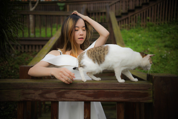 貓貓外拍~  應該沒人的貓能這樣親人吧~ 我指陌生人...