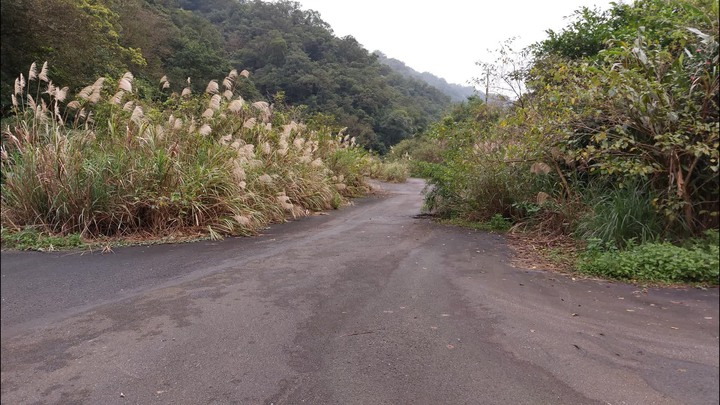 [樂山童盟] [新北平溪] 平湖西步道-內平林山