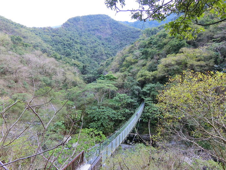 高雄 茂林國家風景區 吊橋探索