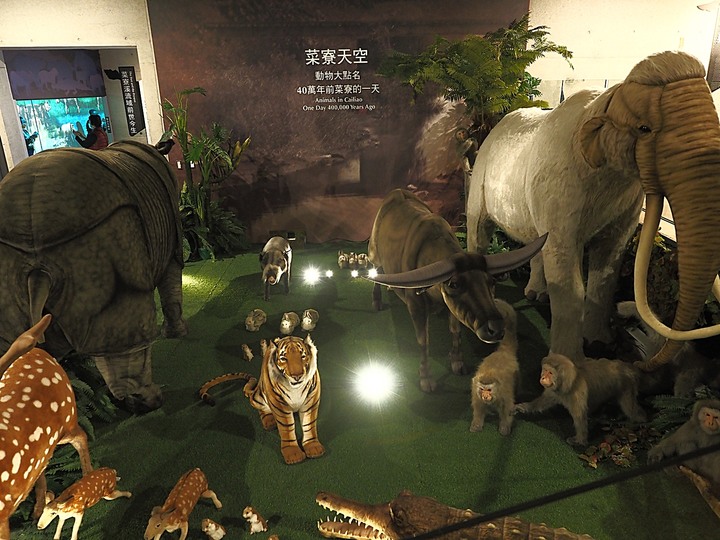 臺南左鎮化石園區 – 全臺首座且唯一之化石教育園區 — 大年初一走春去!