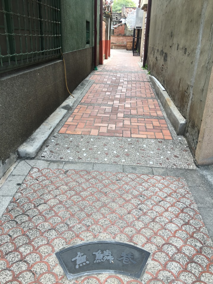 騎 遊 新 營 、 鹽 水 追 蜂 炮