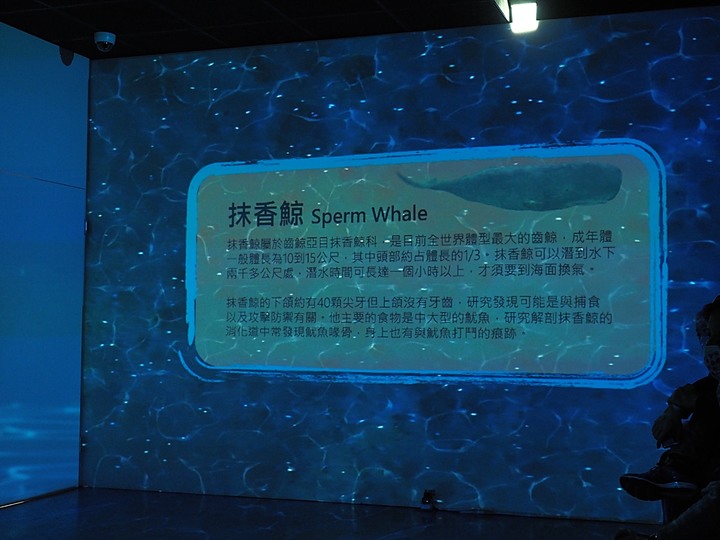 臺南左鎮化石園區 – 全臺首座且唯一之化石教育園區 — 大年初一走春去!