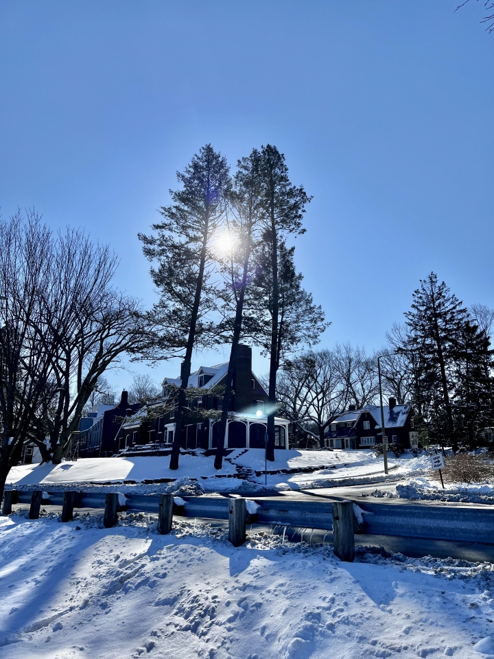 栗樹山公園散步賞雪