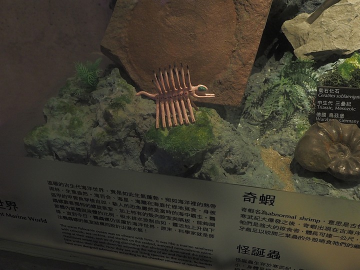 臺南左鎮化石園區 – 全臺首座且唯一之化石教育園區 — 大年初一走春去!