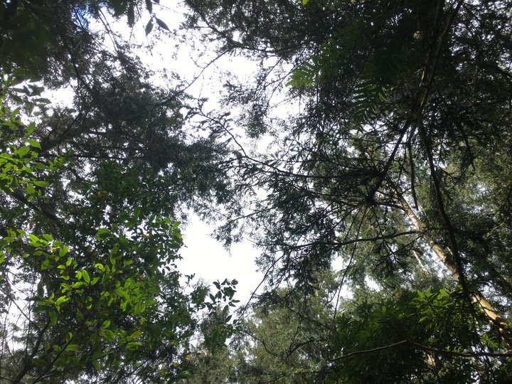 新春第一登-北大武日湯真山