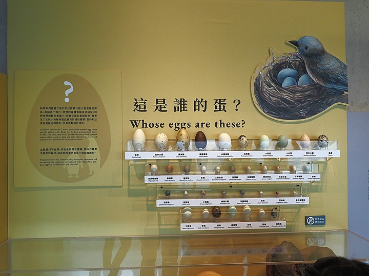 臺南左鎮化石園區 – 全臺首座且唯一之化石教育園區 — 大年初一走春去!