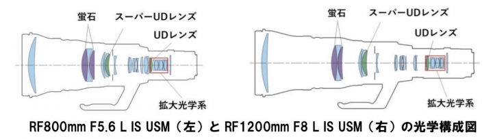 Canon RF800mm F5.6&RF1200mm F8公開發表