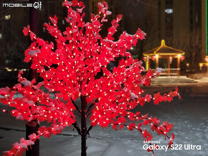 老外I冰宇宙分享S22U拍攝的照片