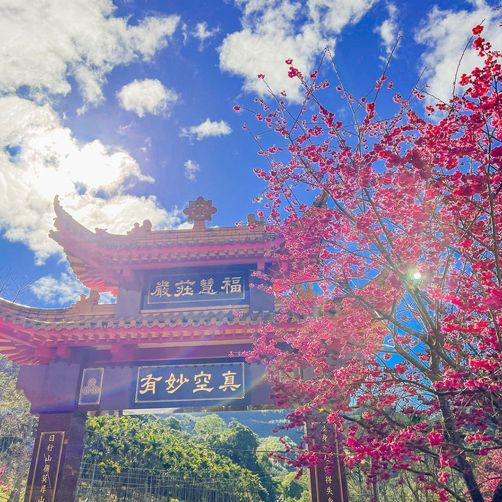 櫻花系網美絕不能錯過的2022內行人賞櫻情報！全台北中南隱藏版賞櫻秘境即刻啟程！