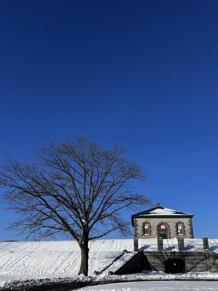 栗樹山公園散步賞雪