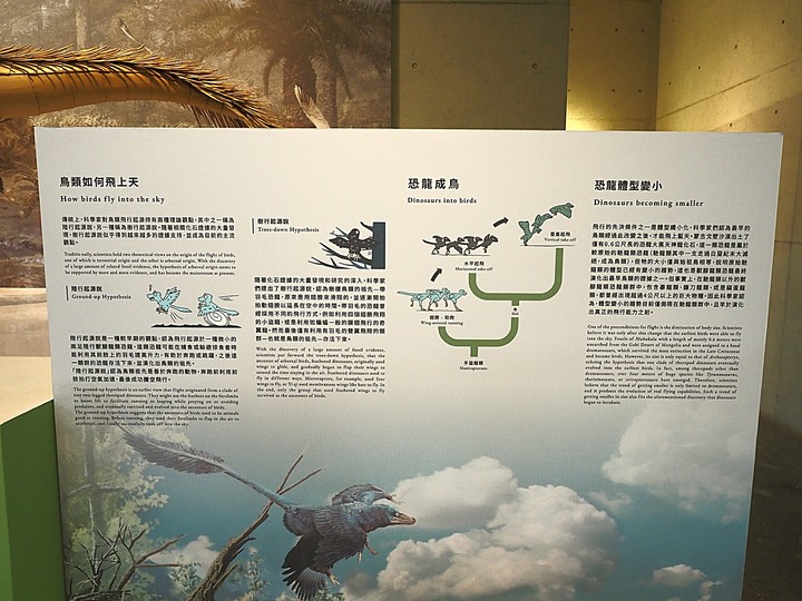 臺南左鎮化石園區 – 全臺首座且唯一之化石教育園區 — 大年初一走春去!