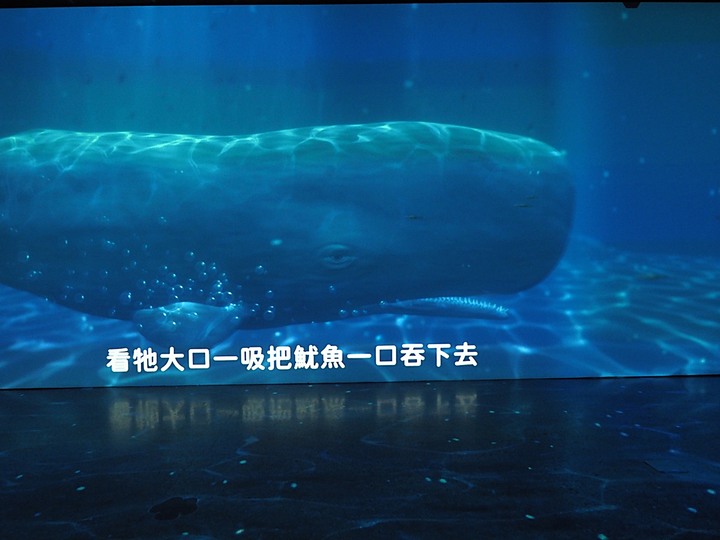 臺南左鎮化石園區 – 全臺首座且唯一之化石教育園區 — 大年初一走春去!
