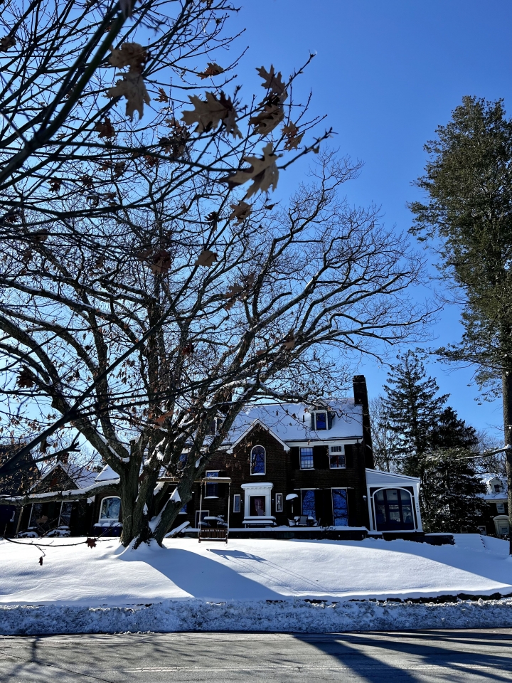 栗樹山公園散步賞雪
