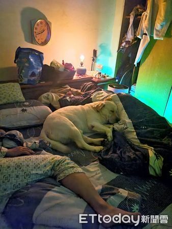 阿嬤睡覺怕冷「巨大暖暖包」躺床邊加熱媽笑:寒流來都不冷了
