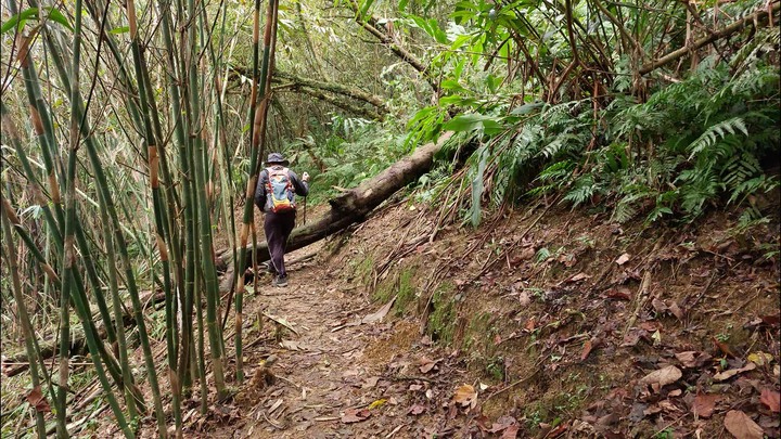 [樂山童盟] [新北平溪] 平湖西步道-內平林山