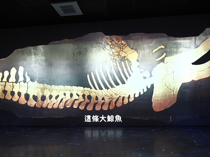 臺南左鎮化石園區 – 全臺首座且唯一之化石教育園區 — 大年初一走春去!