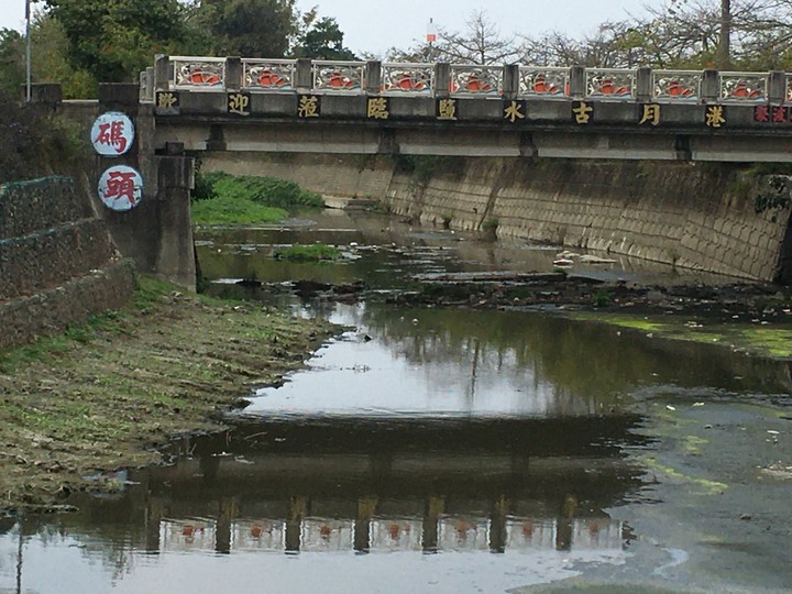 騎 遊 新 營 、 鹽 水 追 蜂 炮