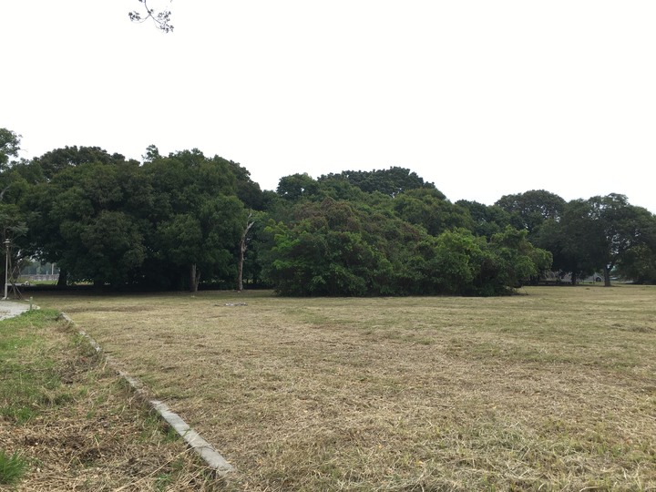 騎 遊 新 營 、 鹽 水 追 蜂 炮