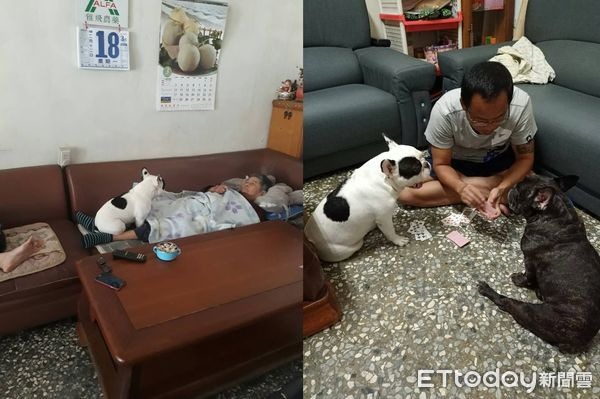 「乖孫法鬥」靜靜陪92歲阿祖看電視療癒畫面暖暈網:有祖孫臉