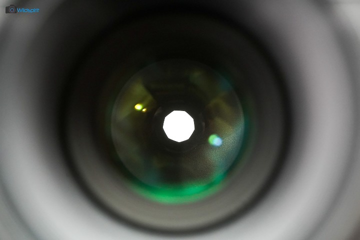 相對輕量短小便宜的百微【TOKINA FiRIN 100mm F2.8 FE AF MACRO】