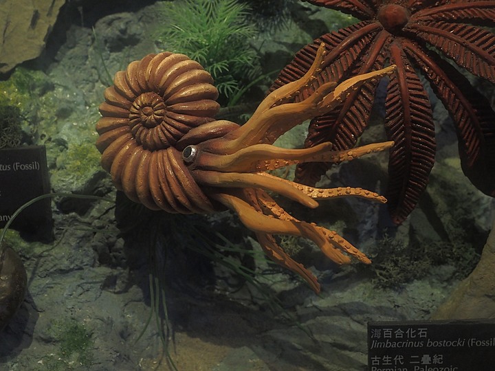 臺南左鎮化石園區 – 全臺首座且唯一之化石教育園區 — 大年初一走春去!