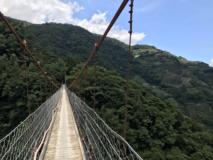 小雲豹之力行產業道環島