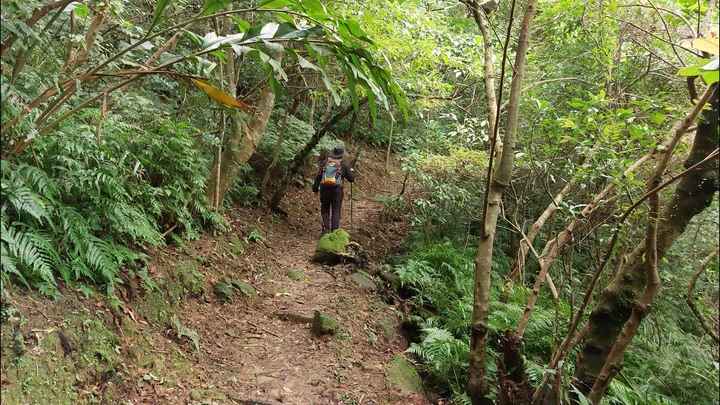 [樂山童盟] [新北平溪] 平湖西步道-內平林山